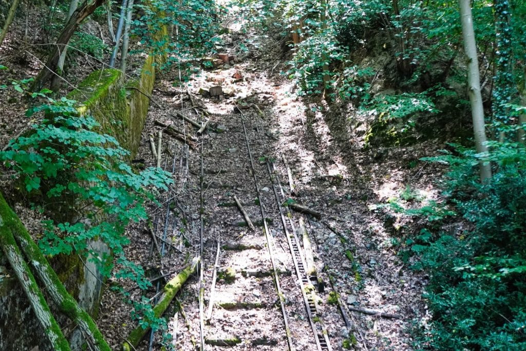Die steile, bewachsene Trasse der ehemaligen Malbergbahn in Bad Ems führt durch einen bewaldeten Hang, wobei verrostete Schienen und alte Betonelemente zwischen Laub und Ästen erkennbar sind.