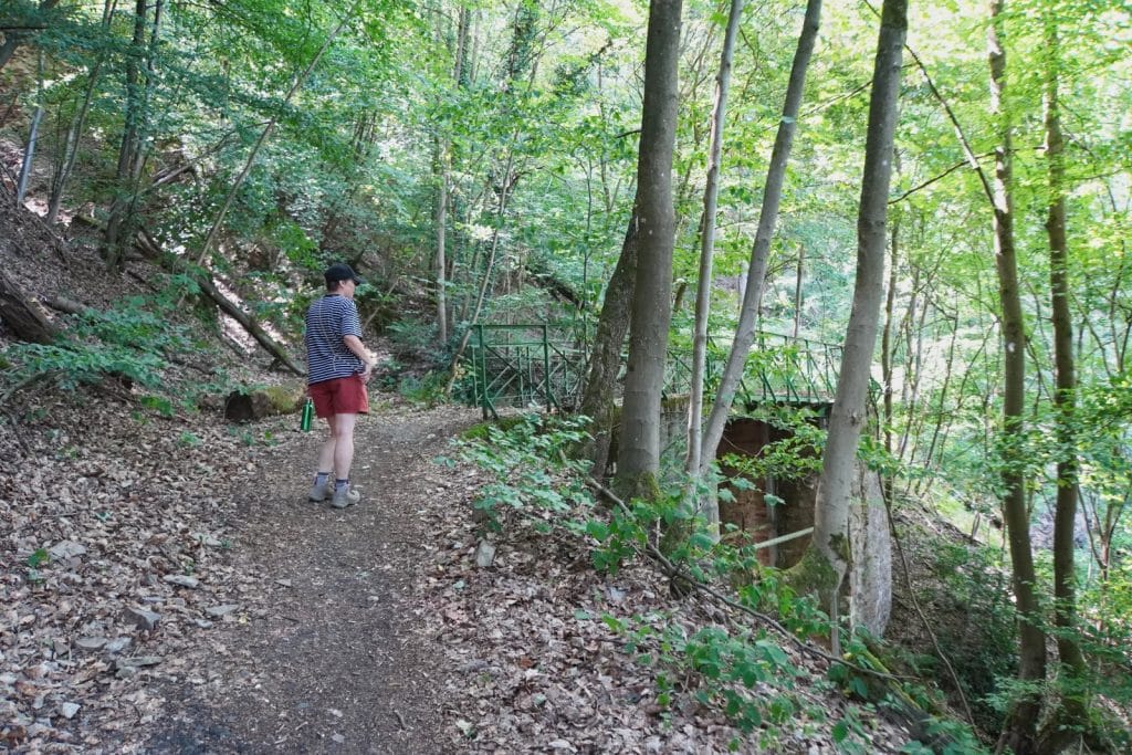 Eine Person in Wanderkleidung steht auf einem Waldweg am Malberg bei Bad Ems und blickt auf eine kleine Brücke mit grünem Geländer.