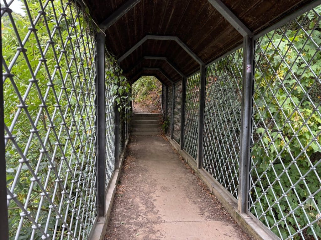 Ein überdachter, schmaler Gang mit Maschendrahtzaun an den Seiten führt als Brücke zum Felsenweg in Bad Ems, wobei am Ende des Weges einige Steinstufen in bewaldetes Gelände führen.