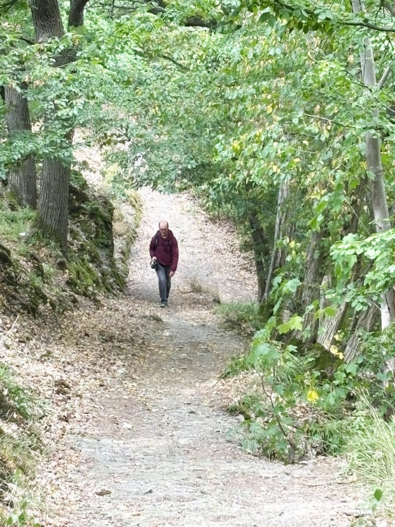 Ein Wanderer in einer weinroten Jacke geht auf dem schmalen, von Bäumen gesäumten Felsenweg bei Bad Ems bergauf.