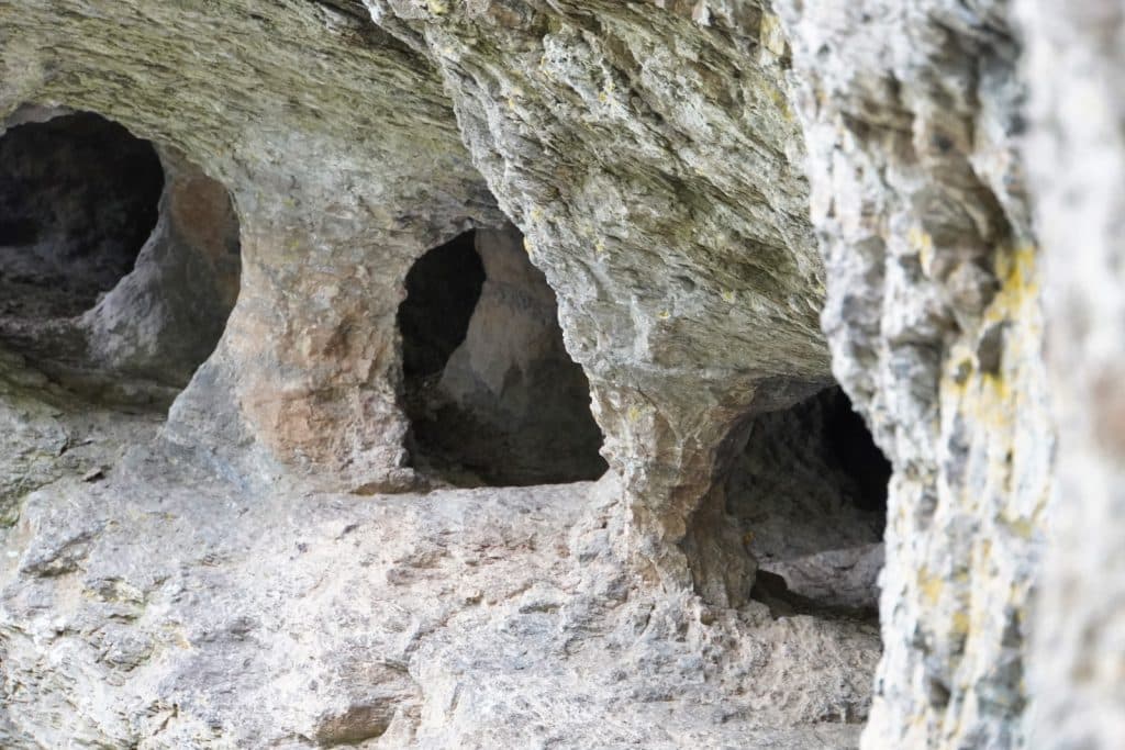 Nahaufnahme der Heinzelmannhöhlen bei Bad Ems, die mehrere kleine, dunkle Felsöffnungen in einer zerklüfteten, hellgrauen Kalksteinwand zeigt.