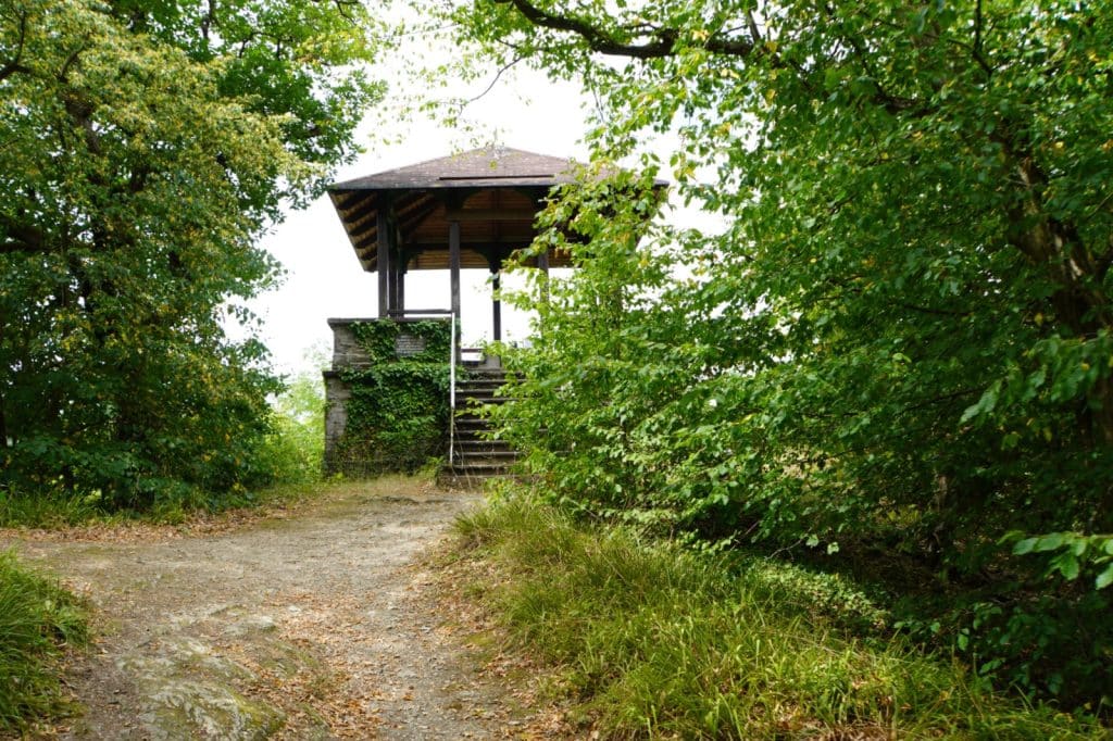 Ein schmaler Waldweg führt zu der hölzernen Mooshütte in Bad Ems, einem überdachten Aussichtspunkt auf einem Steinsockel, der von dichtem grünem Laubwerk umgeben ist.