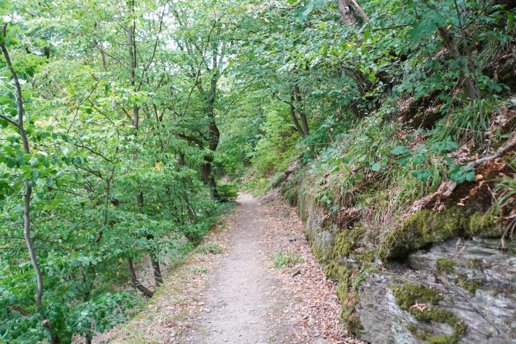 Ein schmaler, von herabgefallenem Laub bedeckter Wanderweg führt in Bad Ems durch einen dichten, grünen Laubwald in Richtung Concordiaturm, flankiert von einer moosbewachsenen Felswand auf der rechten Seite.