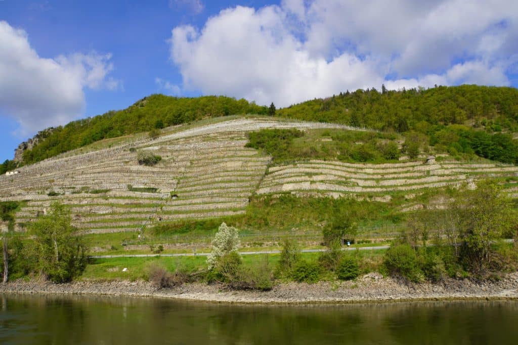 Blick von einem Flusskreuzfahrtschiff auf die steilen, terrassierten Weinanbaugebiete an den grünen Hängen der Wachau bei Melk.