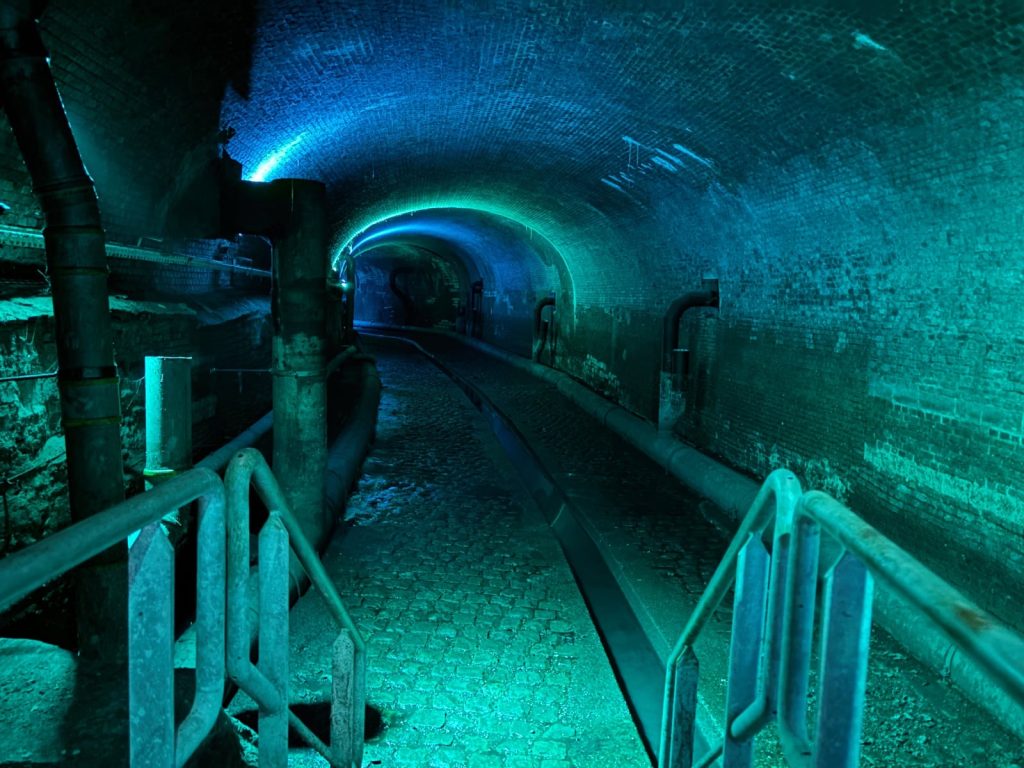 Eingang in die Ruien